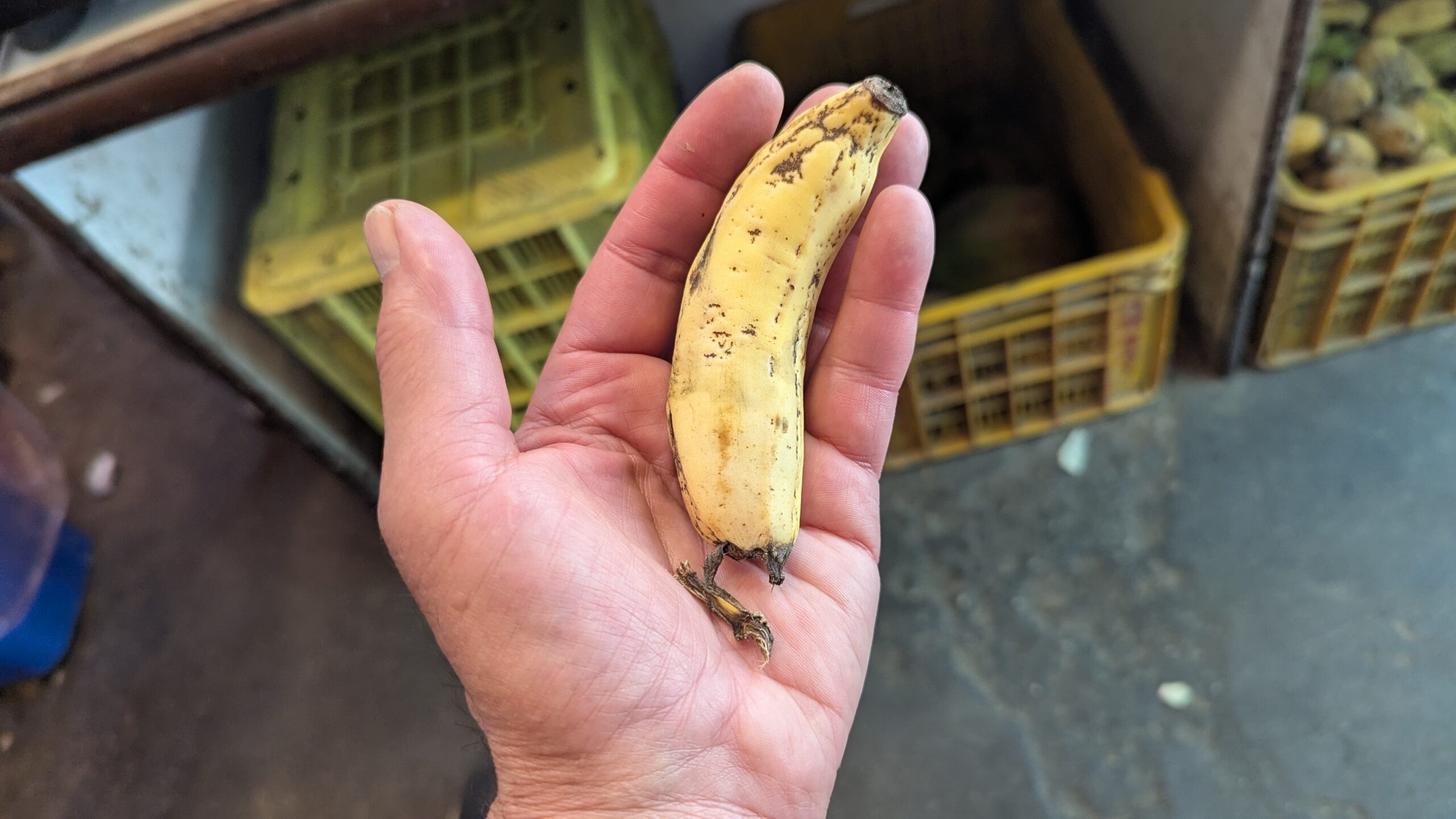 A small banana in my hand